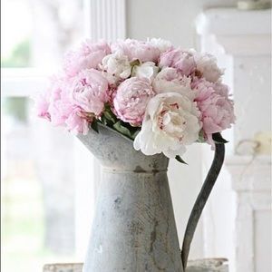 Meet your Posher, Keesha